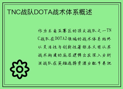 TNC战队DOTA战术体系概述