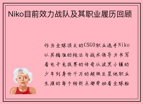 Niko目前效力战队及其职业履历回顾