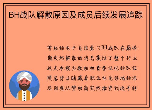 BH战队解散原因及成员后续发展追踪